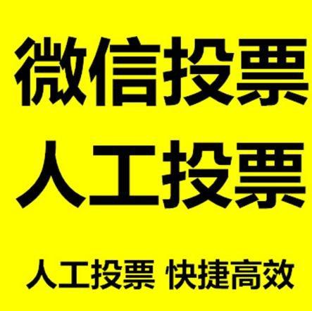 吉林省微信刷票怎么投票