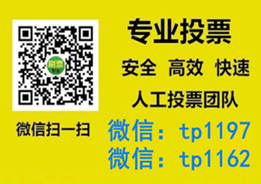 吉林省微信手动投票费多少钱让我告诉你微信投了多少